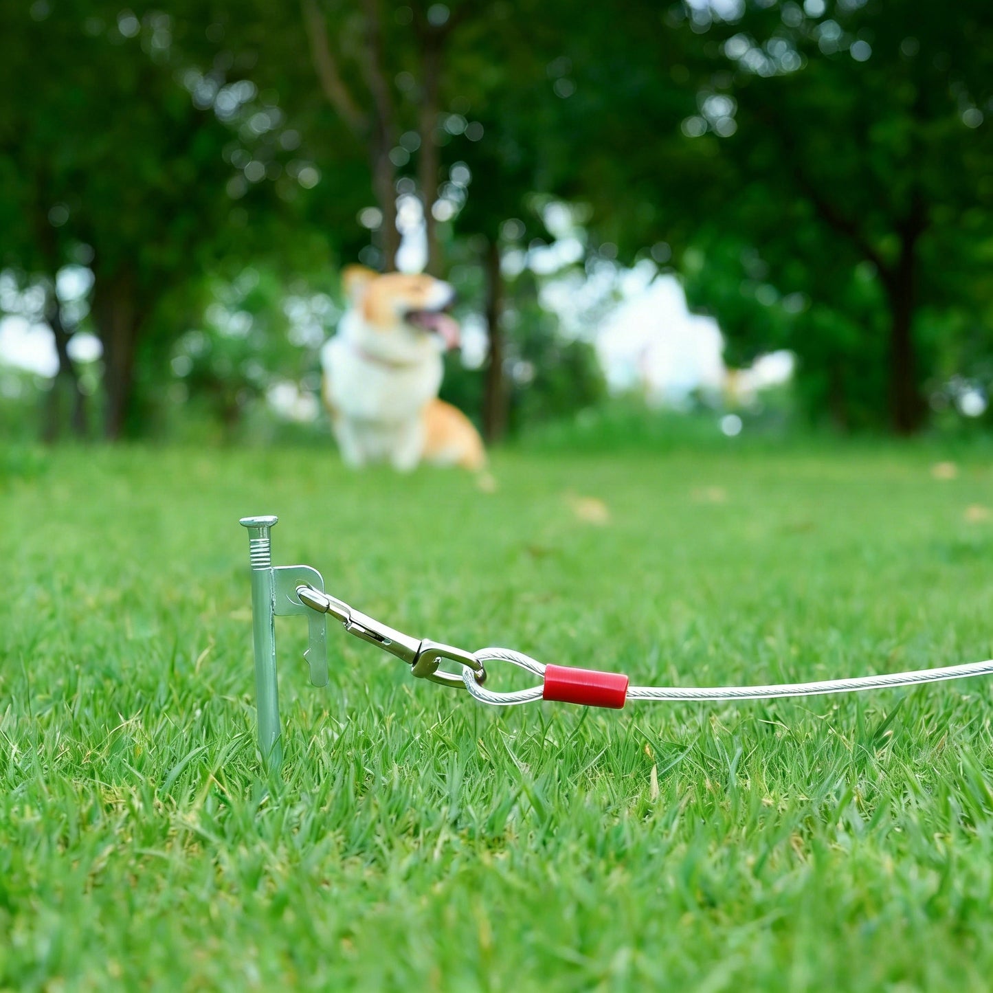 Heavy-Duty Dog Tie Out Cable - Stainless Steel Swivel Leash for Outdoor Use